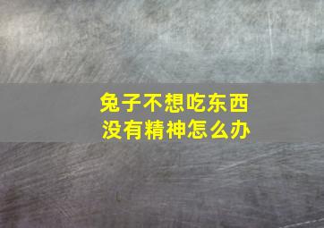 兔子不想吃东西 没有精神怎么办